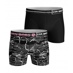 Bjrn Borg boxershorts cracked stripes, 2 pack