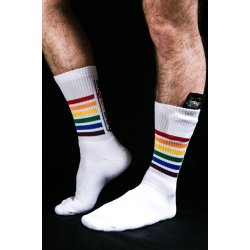Sk8erboy PRIDE socks