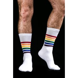 Sk8erboy PRIDE socks