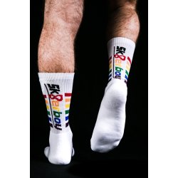 Sk8erboy PRIDE socks
