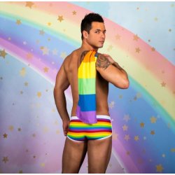 Pride Stripe Trunk