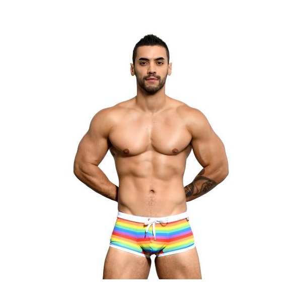 Pride Stripe Trunk