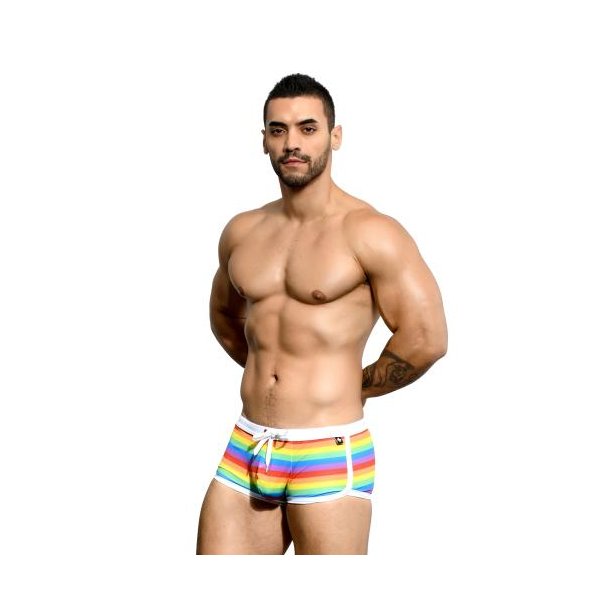 Pride Stripe Trunk