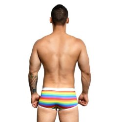 Pride Stripe Trunk