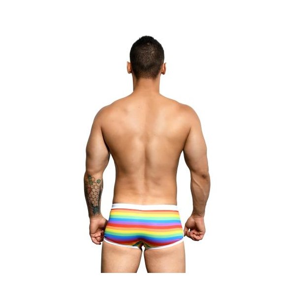 Pride Stripe Trunk