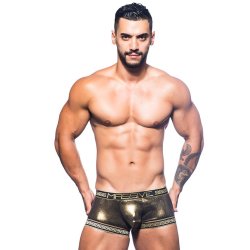 MASSIVE Gladiator Brief Gold