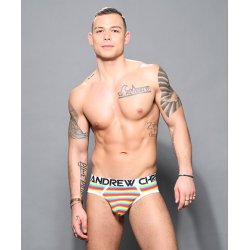 Pride Rainbow Stripe Love Brief 