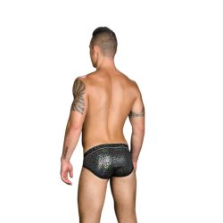 Disco Animal Brief  