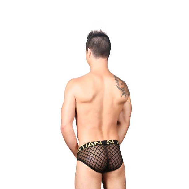 Lattice Lace Sheer Brief w/Almost Naked