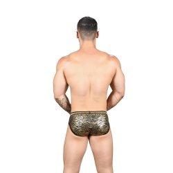 MASSIVE Animal Attraction Brief