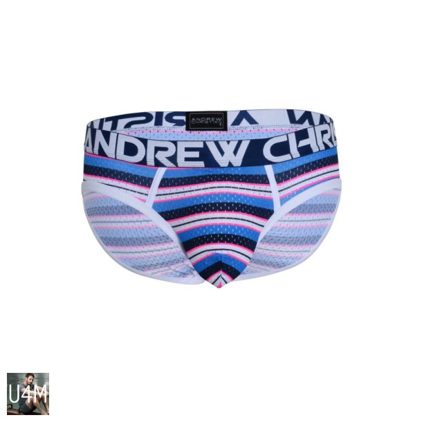 Newport Mesh Stripe Brief w/ Almost Naked