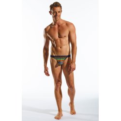Bikini Brief Fall