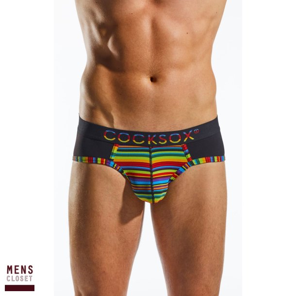Sports Brief Fall
