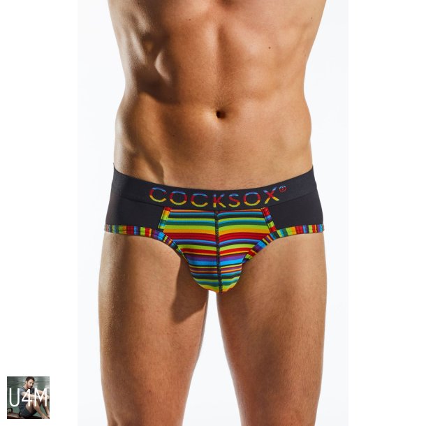 Sports Brief Fall