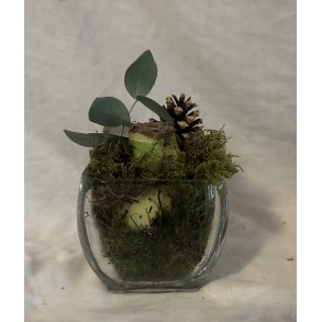 Amaryllis i glassk�l