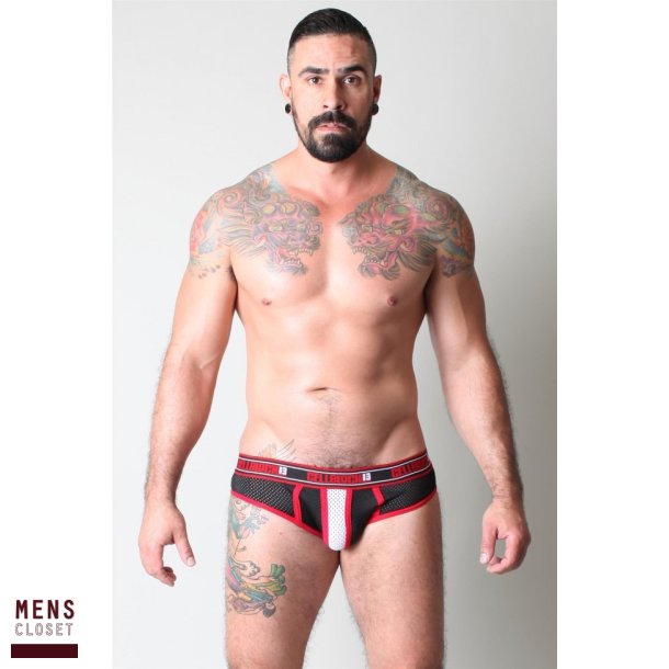 Alpha Brief