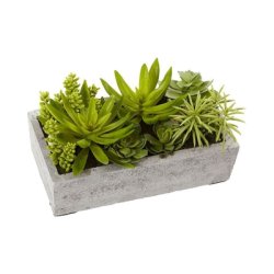 Plantearrangemet med sæsonens planter