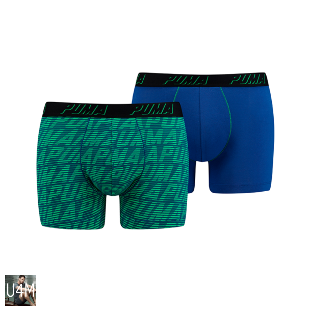 PUMA Optical Logo blue/green